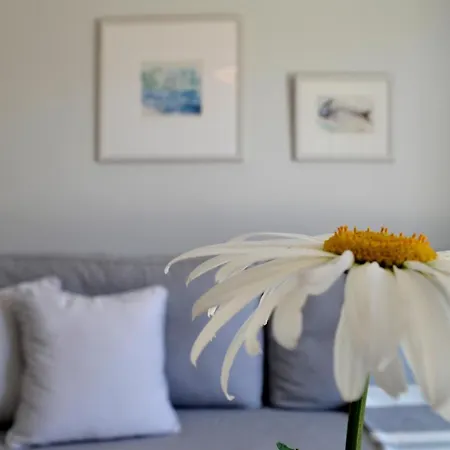Casa Malu Boutique - No 1 Apartamento *